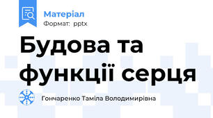 Будова та функції серця