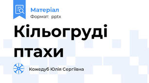 Кільогруді птахи
