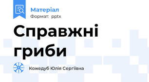 Справжні гриби