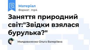 Заняття природний світ:"Звідки взялася бурулька?"