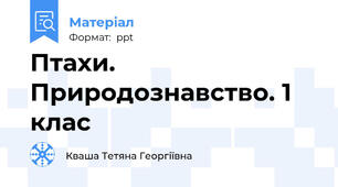 Птахи. Природознавство. 1 клас