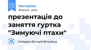 презентація до заняття гуртка "Зимуючі птахи"