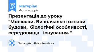 Презентація до уроку "Молюски. Визначальні ознаки будови,  біологічні особливості,  середовища   існування. "