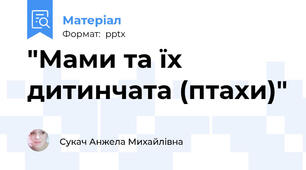 "Мами та їх дитинчата (птахи)"