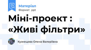 Міні-проект : «Живі фільтри»
