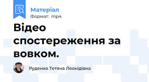 Відео спостереження за вовком.