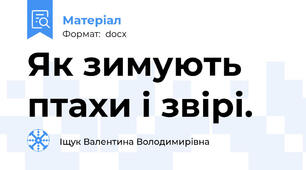 Як зимують птахи і звірі.