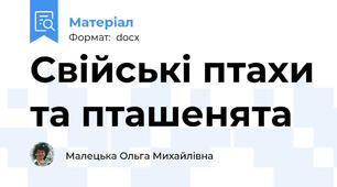 Свійські птахи та пташенята