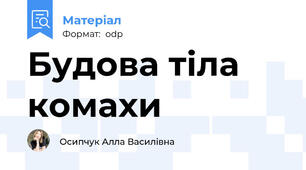 Будова тіла комахи