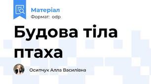 Будова тіла птаха
