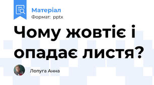 Чому жовтіє і опадає листя?
