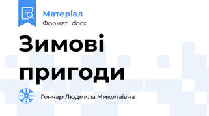 Зимові пригоди