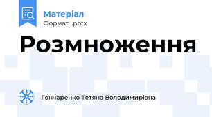 Розмноження