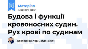 Будова і функції кровоносних судин. Рух крові по судинам