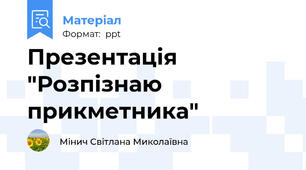 Презентація "Розпізнаю прикметника"
