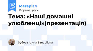 Тема: «Наші домашні улюбленці»(презентація)