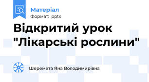 Відкритий урок "Лікарські рослини"