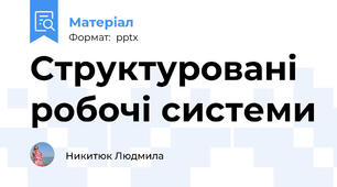 Структуровані робочі системи