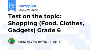 Тest on the topic: Shopping (Food, Clothes, Gadgets) Grade 6