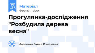 Прогулянка-дослідження "Розбудила дерева весна"