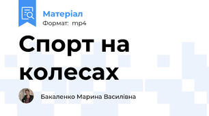 Спорт на колесах