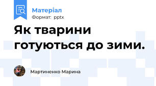 Як тварини готуються до зими.