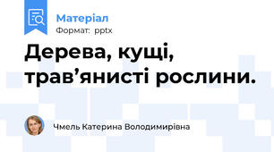 Дерева, кущі, трав’янисті рослини.