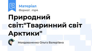 Природний світ:"Тваринний світ Арктики"