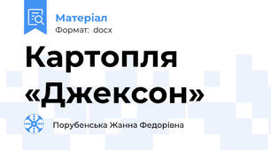 Картопля «Джексон»
