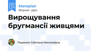 Вирощування бругмансії живцями