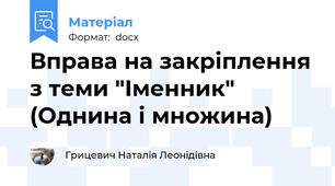 Вправа на закріплення з теми "Іменник" (Однина і множина)