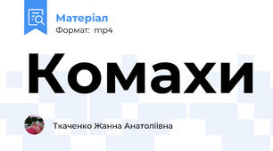 Комахи