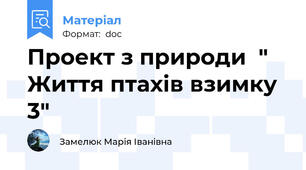 Проект з природи  " Життя птахів взимку 3"