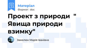 Проект з природи  " Явища природи взимку"