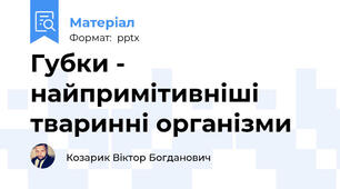 Губки - найпримітивніші тваринні організми