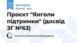 Проєкт "Янголи підтримки" (досвід ЗГ №63)