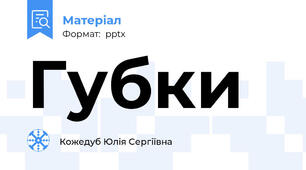 Губки