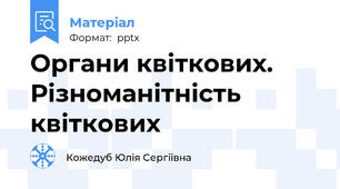 Органи квіткових. Різноманітність квіткових