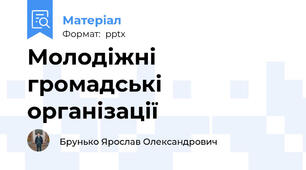 Молодіжні громадські організації