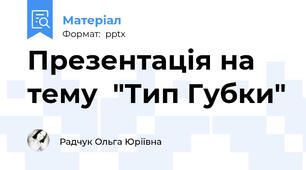 Презентація на тему  "Тип Губки"