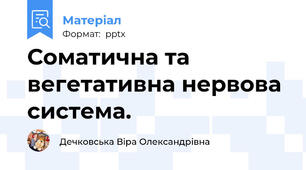 Соматична та вегетативна нервова система.