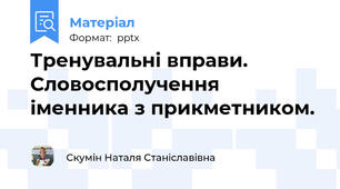Тренувальні вправи. Словосполучення іменника з прикметником.