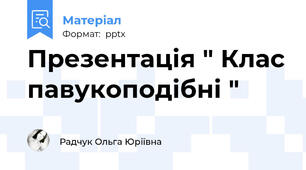 Презентація " Клас павукоподібні "