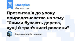 Презентація до уроку природознавства на тему ”Якими бувають дерева, кущі й трав’янисті рослини”