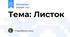 Тема: Листок