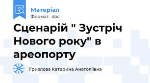 Сценарій " Зустріч Нового року" в ареопорту
