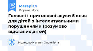Голосні і приголосні звуки 5 клас для дітей з інтелектуальними порушеннями (розумово відсталих дітей)