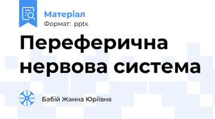 Переферична нервова система