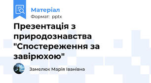 Презентація з природознавства "Спостереження за завірюхою"