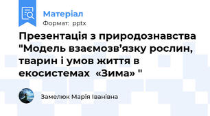 Презентація з природознавства "Модель взаємозв’язку рослин, тварин і умов життя в екосистемах  «Зима» "